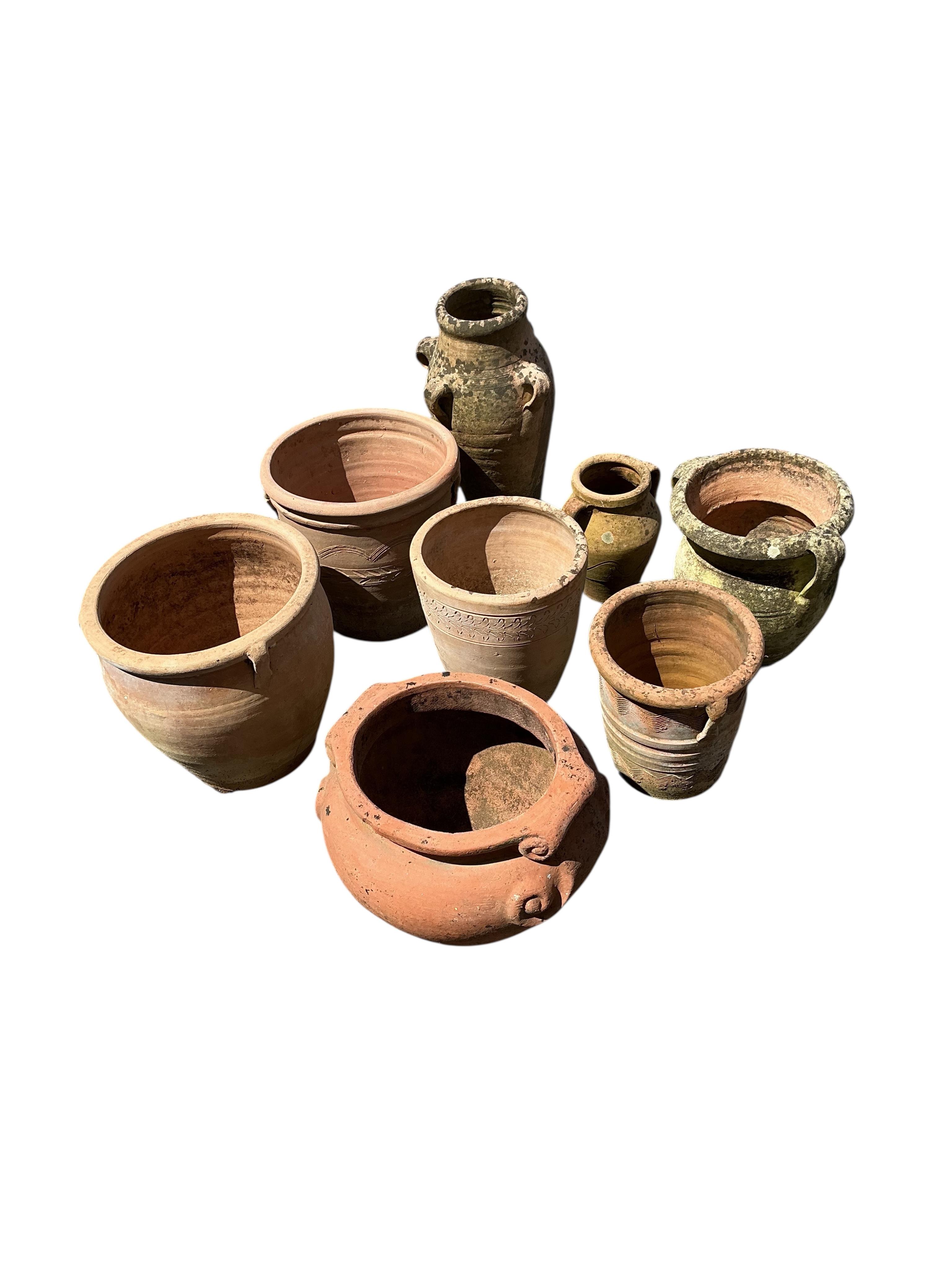 Eight terracotta garden planters, largest diameter 29cm, height 29cm